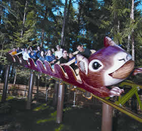 Leonhardi