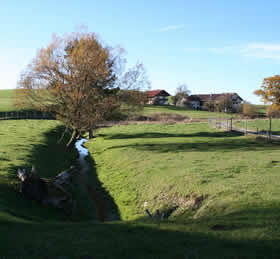 Leonhardi